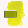 GANSAI TAMBI 'Greenish yellow'
